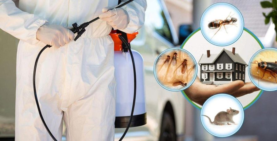 Güdül Böcek İlaçlama