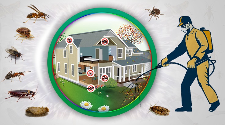 Güdül Böcek İlaçlama