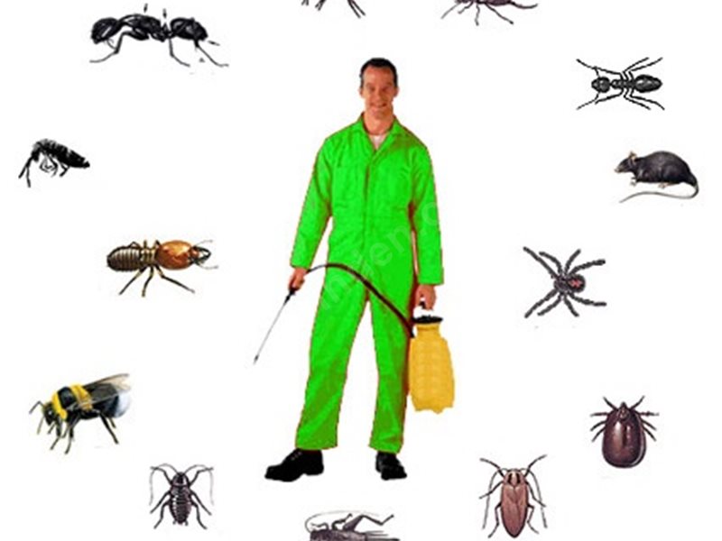 Güdül Böcek İlaçlama